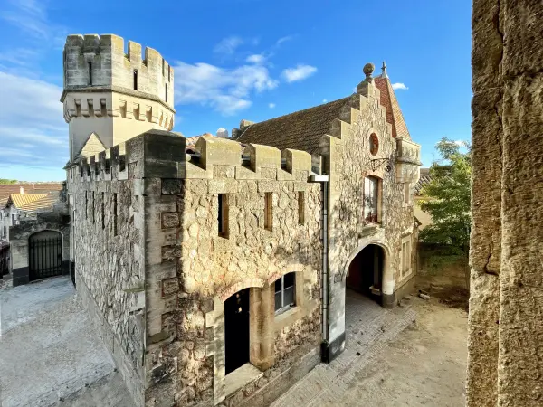 Château de Colombiers - Monument à Colombiers