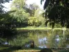 Etang de la Graffardière a Colombiers-du-Plessis