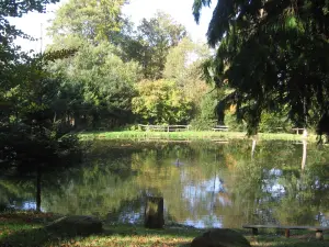 コロンビエ＝デュ＝プレシスの池Graffardière