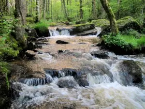 Río de la Cazine