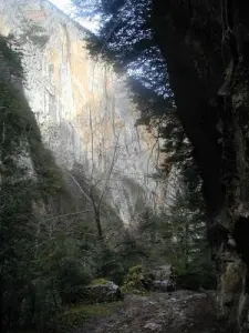 Falaise in the gorges of the Frau