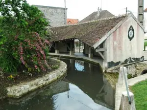 Il centro di lavanderia