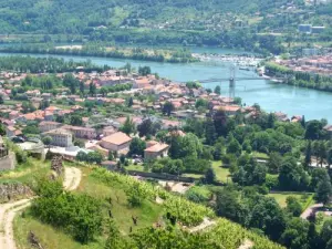 Vue de Condrieu et du Rhône