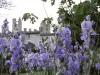 Lente aan de voet van het kasteel van Saint-Germain-de-Confolens