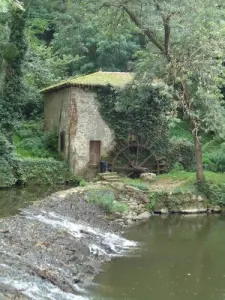 Ancien moulin à huile Louis Quériaud