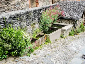 Fontaine aux four bins (© JE)