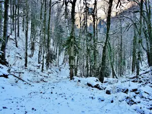 Strada invernale alla grande cascata, sorgente del Lançot (© J.E)