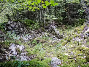 Murs intérieurs de la ruine de Châtelneuf-en-Vennes (© J.E)