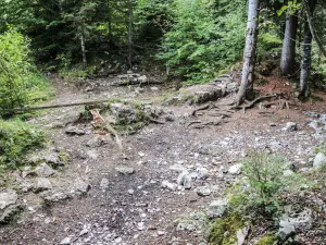 Murailles intérieures de Châtelneuf-en-Vennes, vues de l'esplanade intérieure (© J.E)