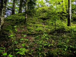 Resto del mantenimento della rovina di Châtelneuf-en-Vennes (© J.E)