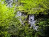 Uma seção da parede sul de Châtelneuf-en-Vennes (© J.E)