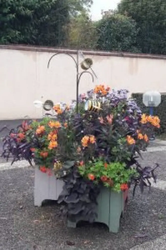 Photos Coquainvilliers Tourisme, Vacances & Weekend