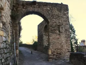 
Porta
