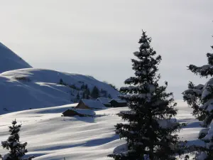 la montaña es suave para Cordon