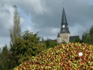 Die Ankunft von Äpfeln zu Busnel Brennerei Cormeilles