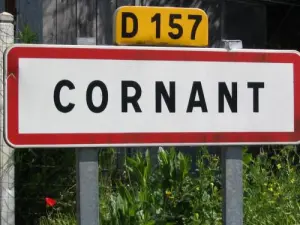 Cornant Burgund