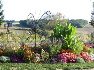 Village flowers