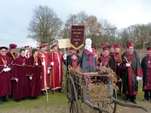 Fripe-Douzils Ingrandes-de-Touraine