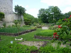 Middeleeuwse tuin - Coucy-le-Château