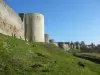 Замок Куси-ле-Шато