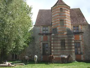 Balade équestre avec visite de la commanderie des Templiers