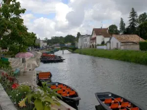 Boten op de rivier Coulon