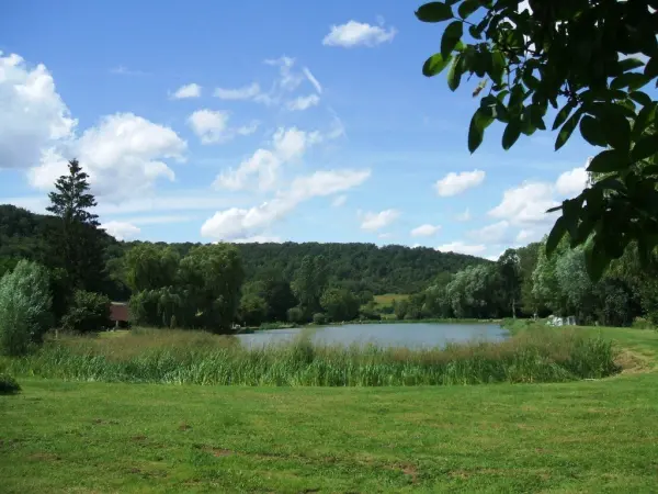Étang de Courcelles Site naturel à Courcelles