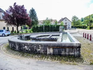 Lavador de água, semicircular (© J.E)