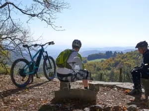 Mountain biking in the wooded Crêts