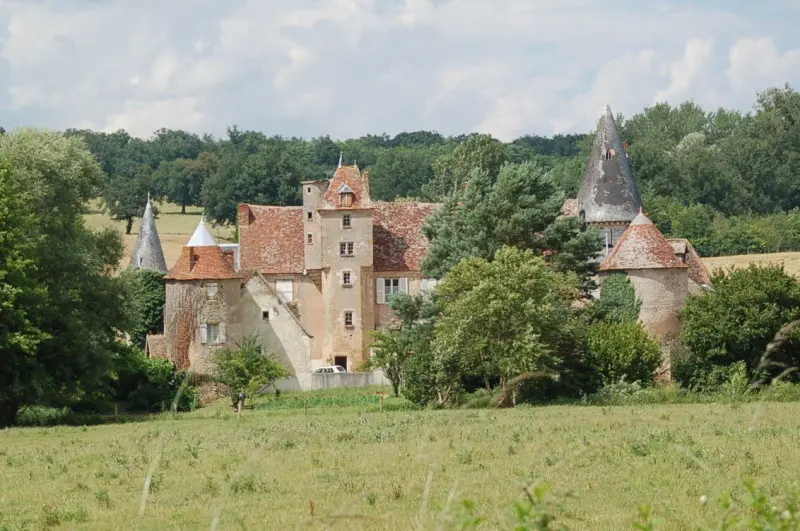 Château de Bonnais - Monument à Coust