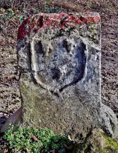 Borne du bois du Haut du Mont (© J.E)