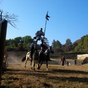 Torneio de Cavalaria