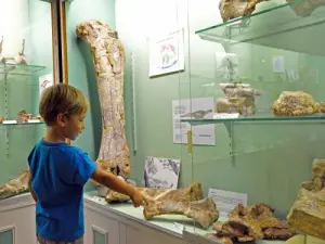 Museo archeologico e paleontologico (© G. Defrocourt)
