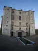 Maulnes城堡 -  Cruzy-le-Châtel
