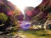 Gorges de Galamus