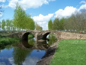 Pont de la Reine Blanche