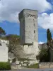 Bergfried von Curçay-sur-Dive - Monument in Curçay-sur-Dive