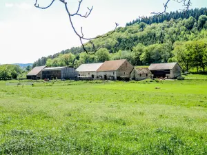Farm hamlet of Châtillon-sur-Lison (© JE)