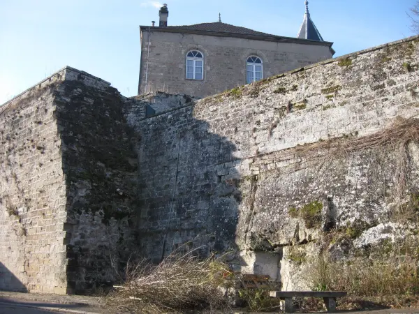 Castle of Darney - Monument in Darney