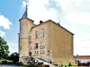 Eléments restants de l'ancien château - Musée actuellement (© J.E)