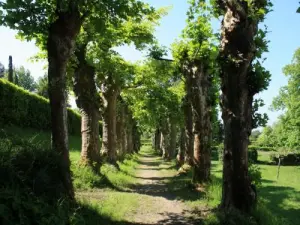 Parco della casa di Notre-Dame du Pouy