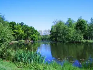 Bois de Boulogne