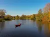 Paseo en canoa en otoño