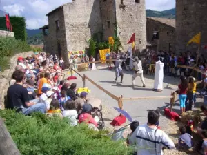 La fête médiévale : les combats sur l'aire du château