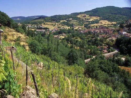 Вид на деревню с виноградников
