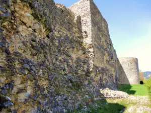 高卢 - 罗马城墙和北塔圣阿加莎（©J.E）