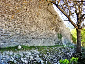 高卢 - 罗马城墙北（©J.E）