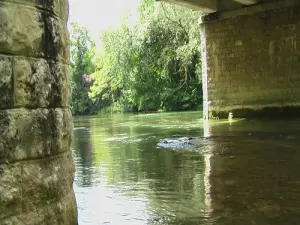 The bridge over the Aube