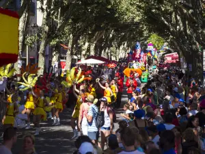 Corso de la lavanda