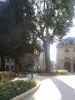 Place des Ducs de Bourgogne